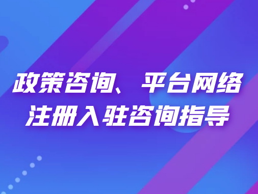 政策咨詢、平臺(tái)網(wǎng)絡(luò)注冊(cè)入駐咨詢指導(dǎo)
